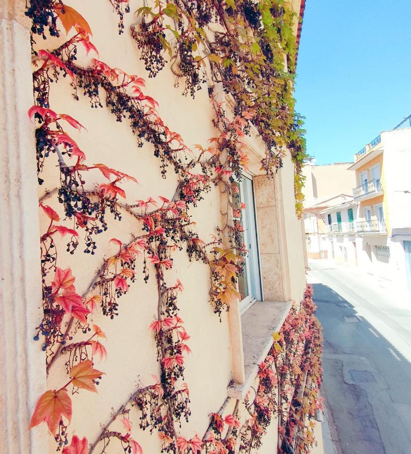 Casa Edrada Διαμέρισμα Τσέστε Εξωτερικό φωτογραφία